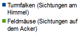 Legende zu Anzahl der gesichteten Turmfalken und Feldmäuse
